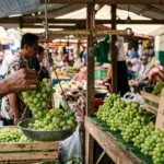 Harga Anggur Hijau Terbaru: Dari Pasar sampai Supermarket